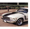 1970 Boss 302 Mustang Hood & Top Fender Stripe Kit